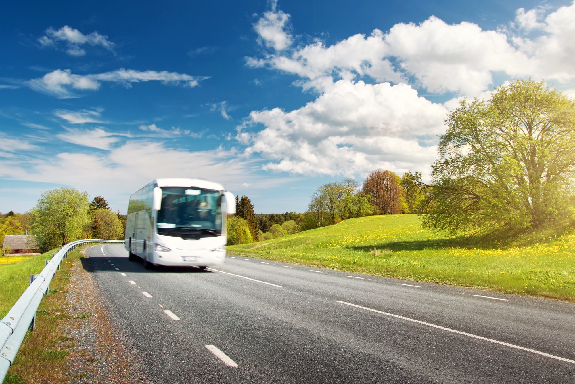 BUSFRAPE | autobus